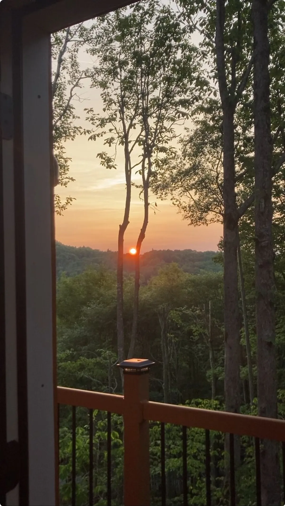 The photo features a peaceful sunset view as seen from the balcony, with the treetops and a rustic railing framing the golden sky. The mood is tranquil and reflective, ideal for winding down with your dog after exploring local trails. The vantage point highlights the property’s seamless connection to nature and panoramic mountain ambiance.